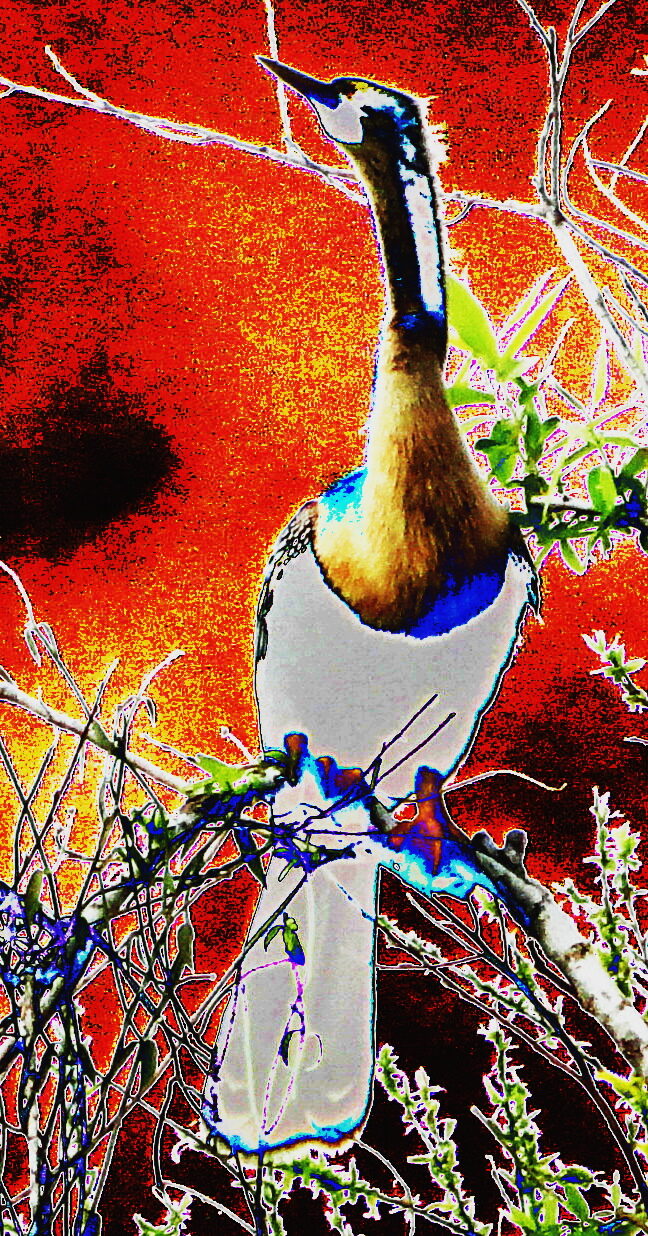 Everglades Bird III — an original abstract nature painting by Debra Karen Werner