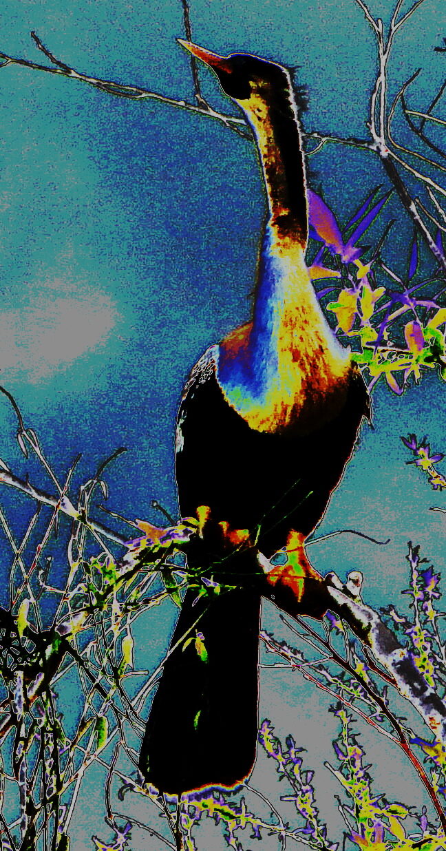 Everglades Bird VI — an original abstract nature painting by Debra Karen Werner