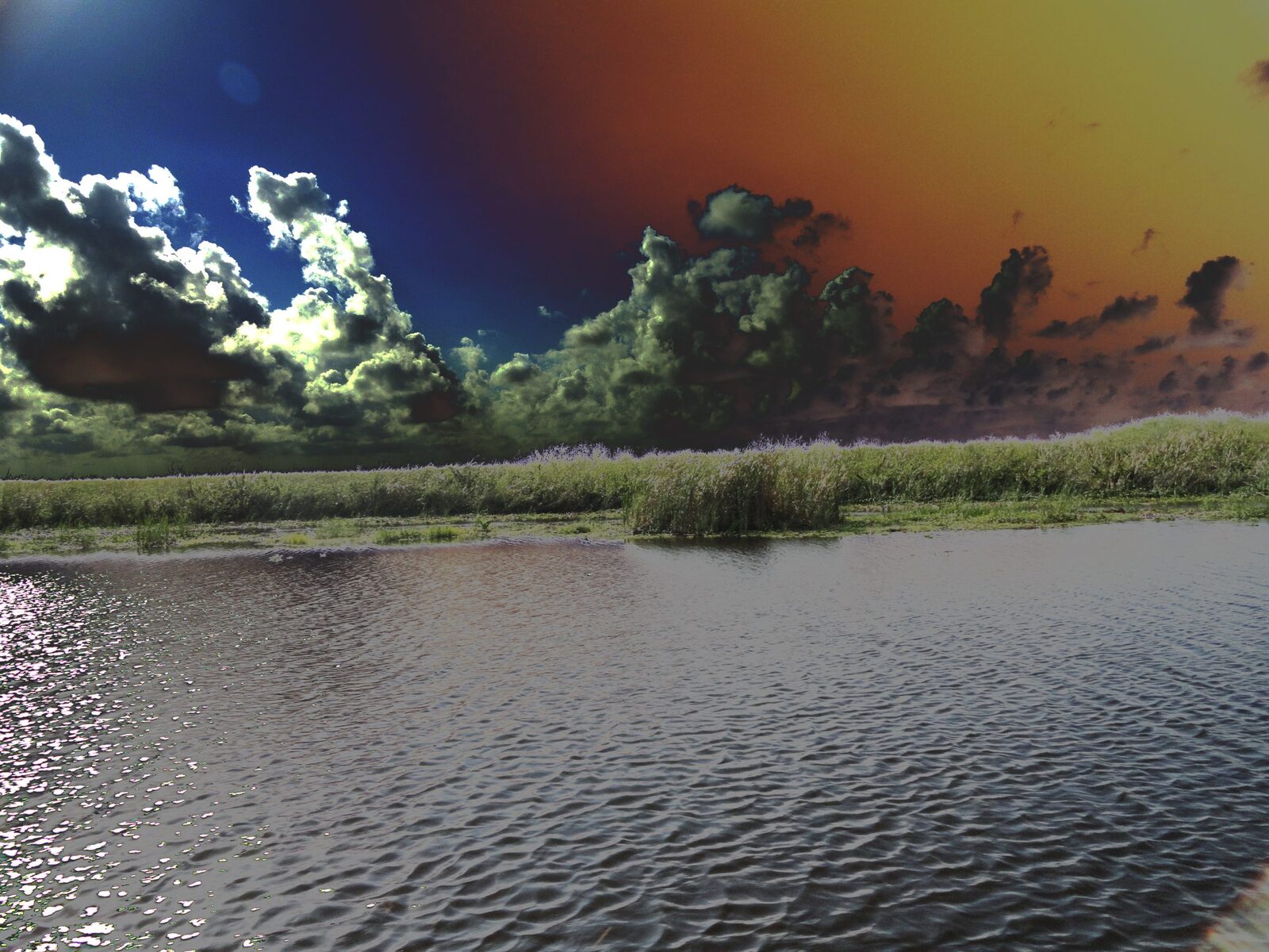 Everglades Sparkle — an original abstract nature painting by Debra Karen Werner