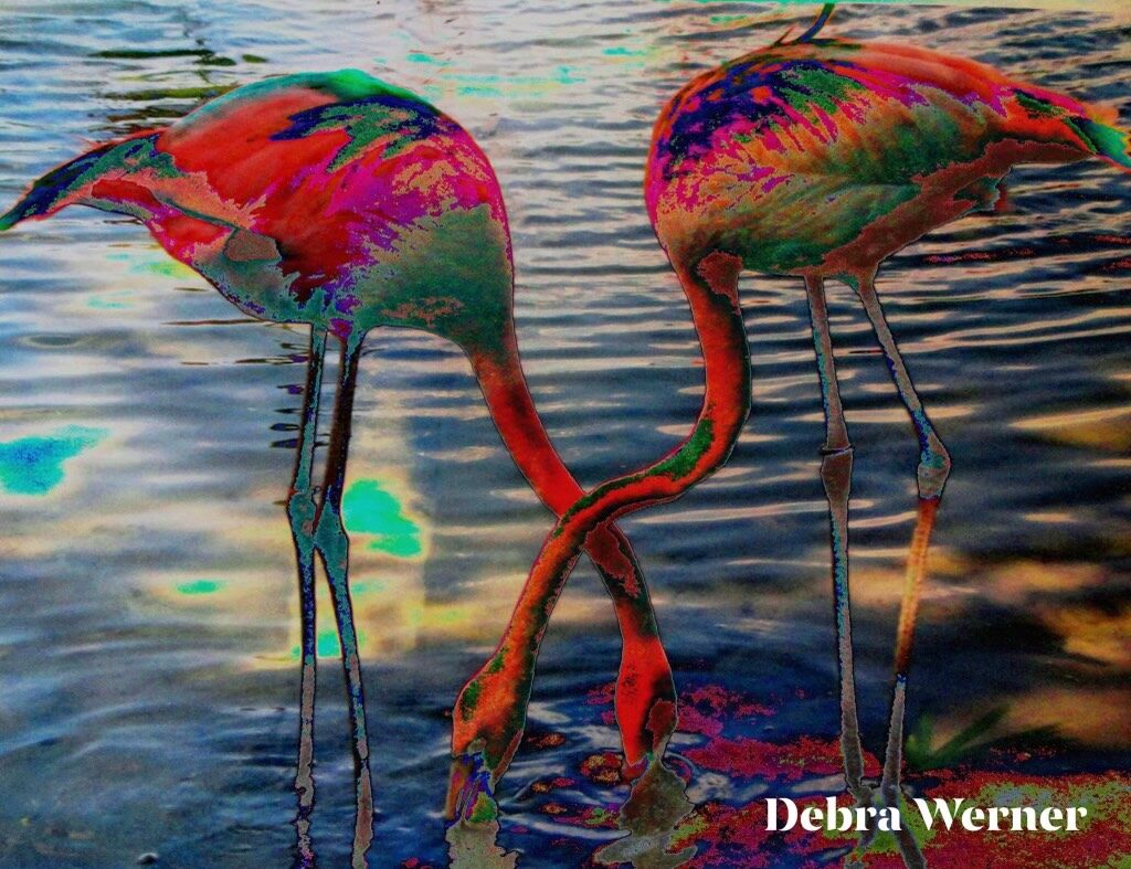 Flamingos — an original still life painting by Debra Karen Werner
