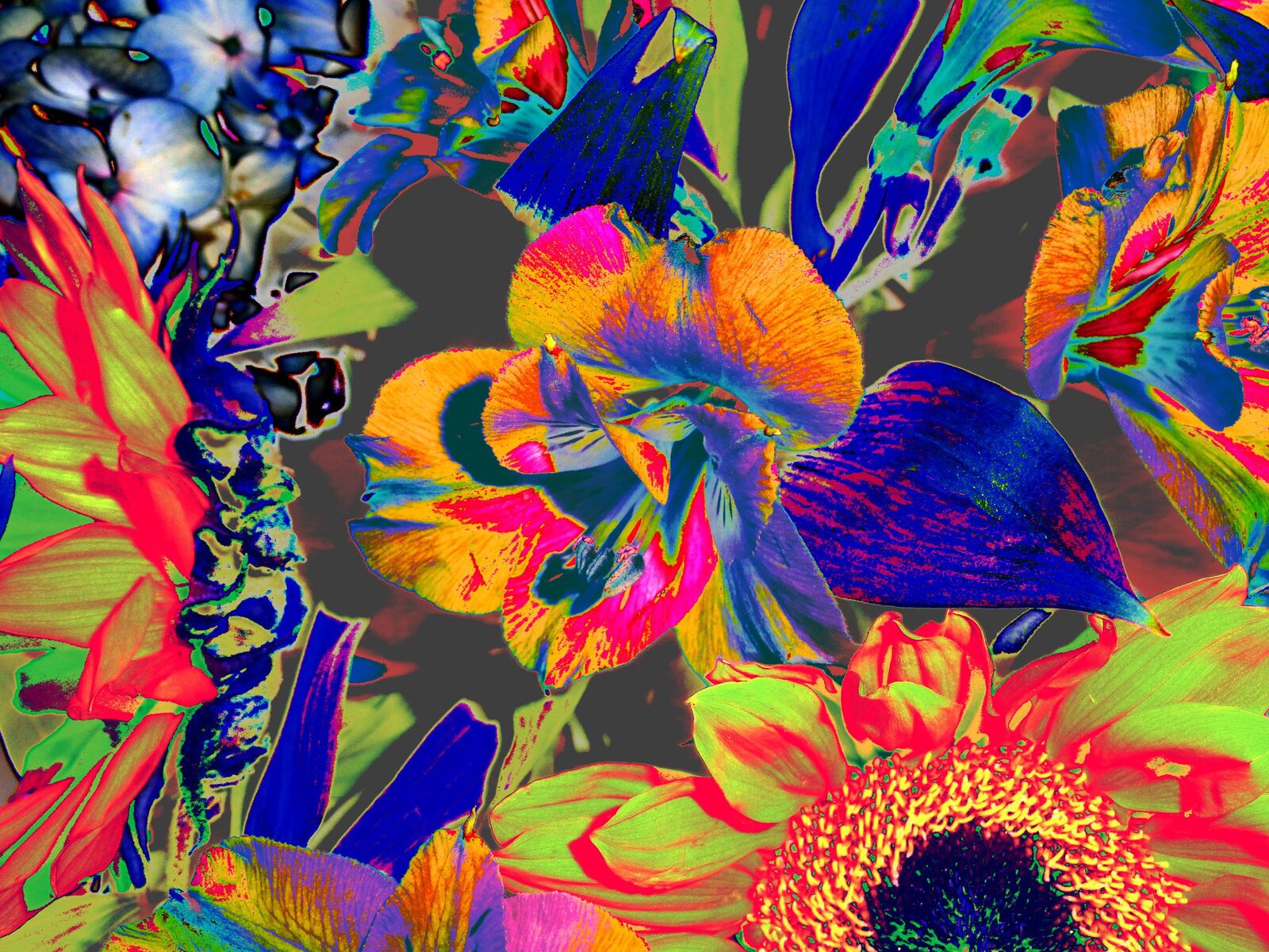 Floral Notes — an original florals painting by Debra Karen Werner