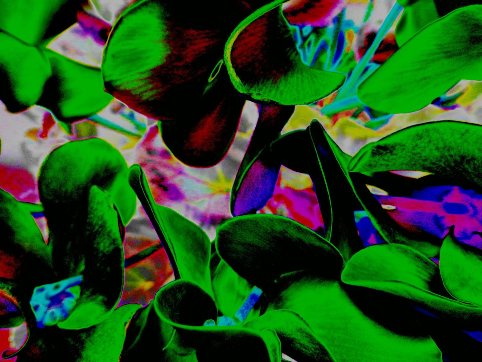 Get Your Irish Up — an original abstract nature painting by Debra Karen Werner