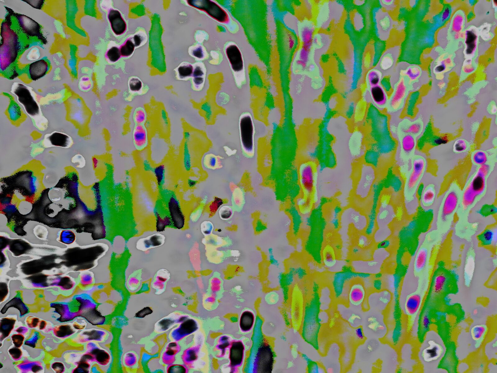 Grey River of Grass — an original abstract nature painting by Debra Karen Werner