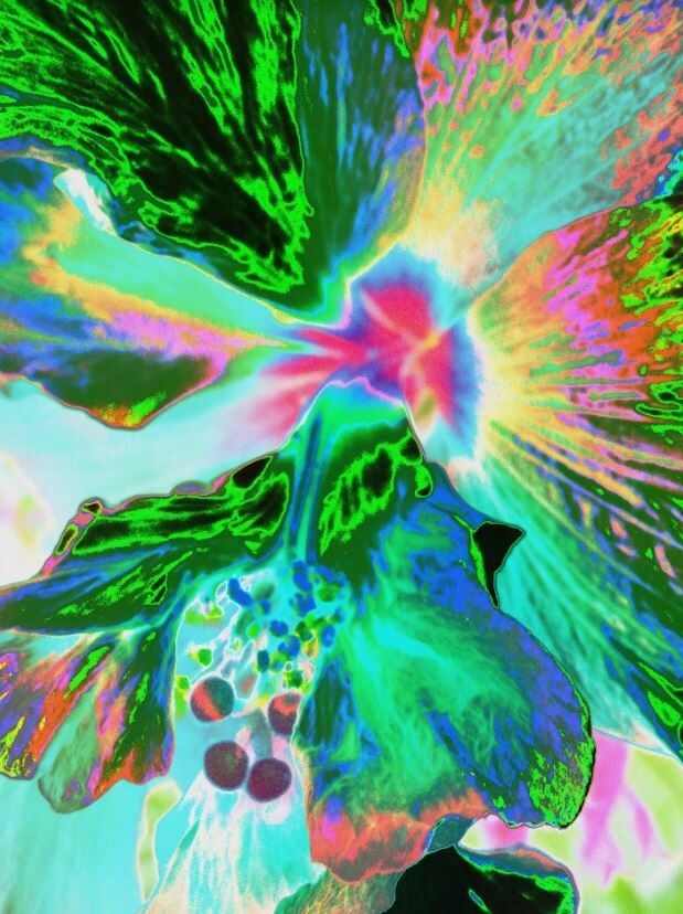High Biscett — an original abstract nature painting by Debra Karen Werner