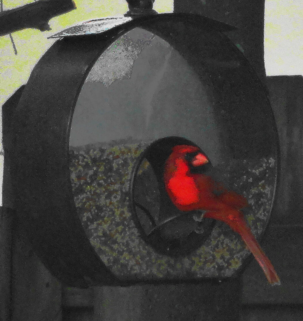 Red Bird — an original abstract nature painting by Debra Karen Werner