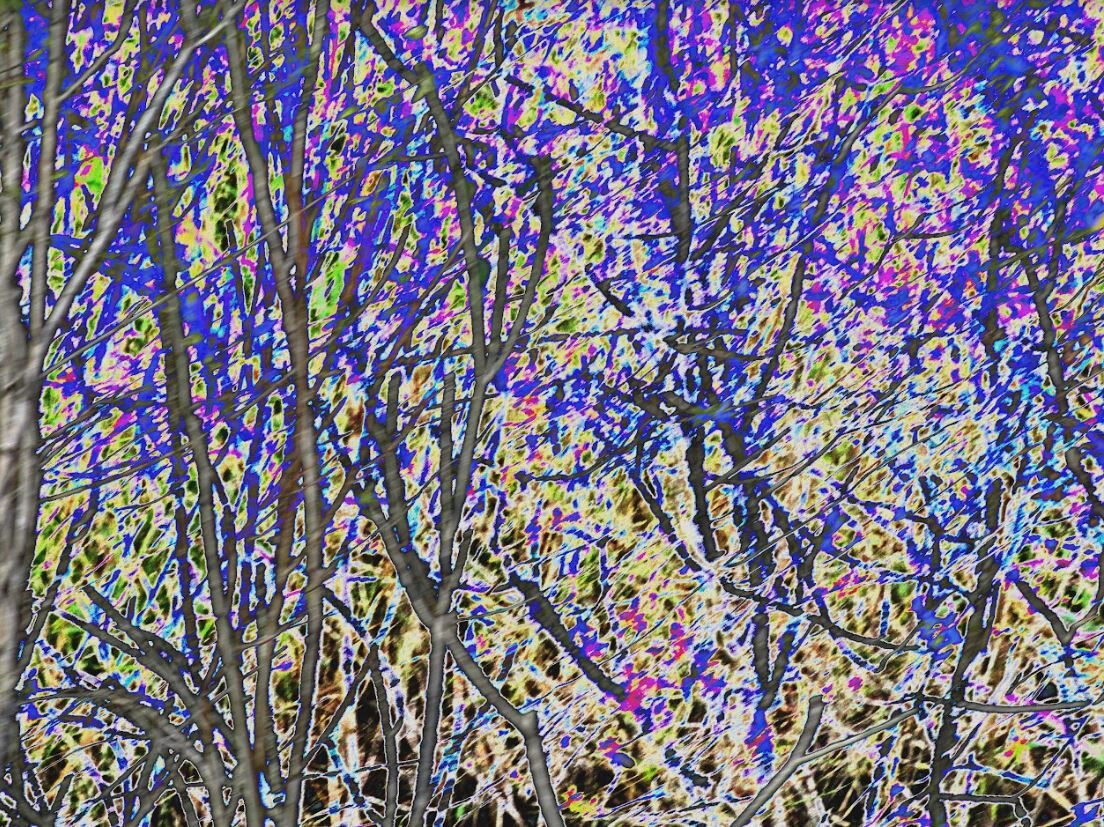 River Reeds — an original abstract nature painting by Debra Karen Werner