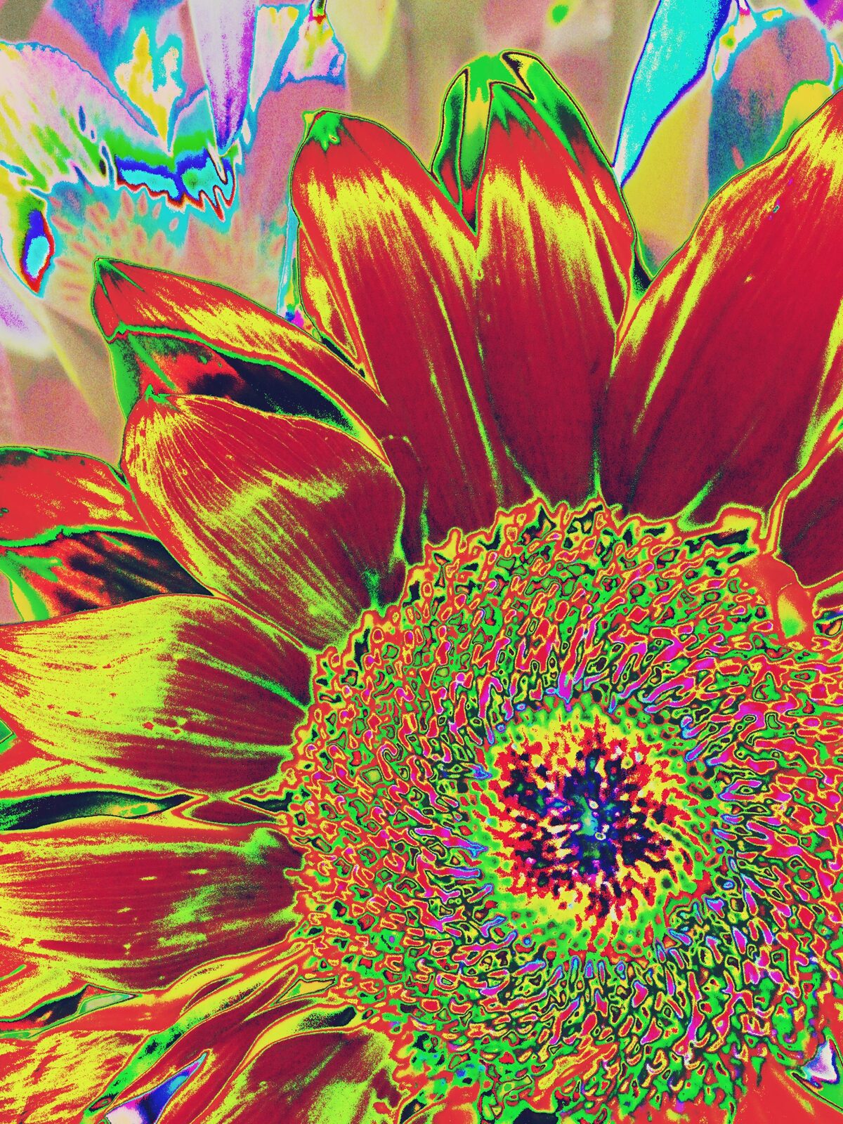 Sunflower Song I — an original florals painting by Debra Karen Werner