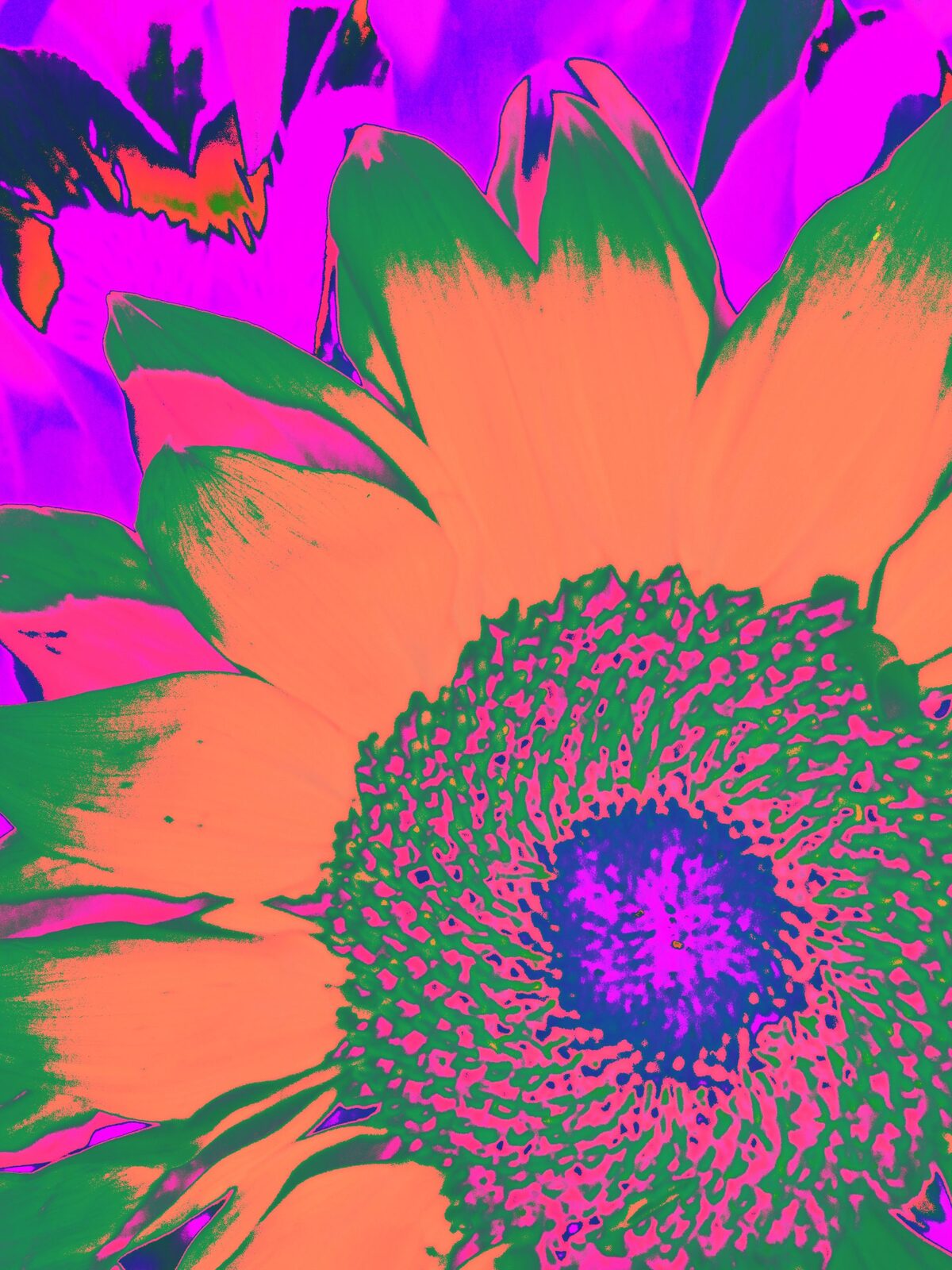 Sunflower Song II — an original florals painting by Debra Karen Werner