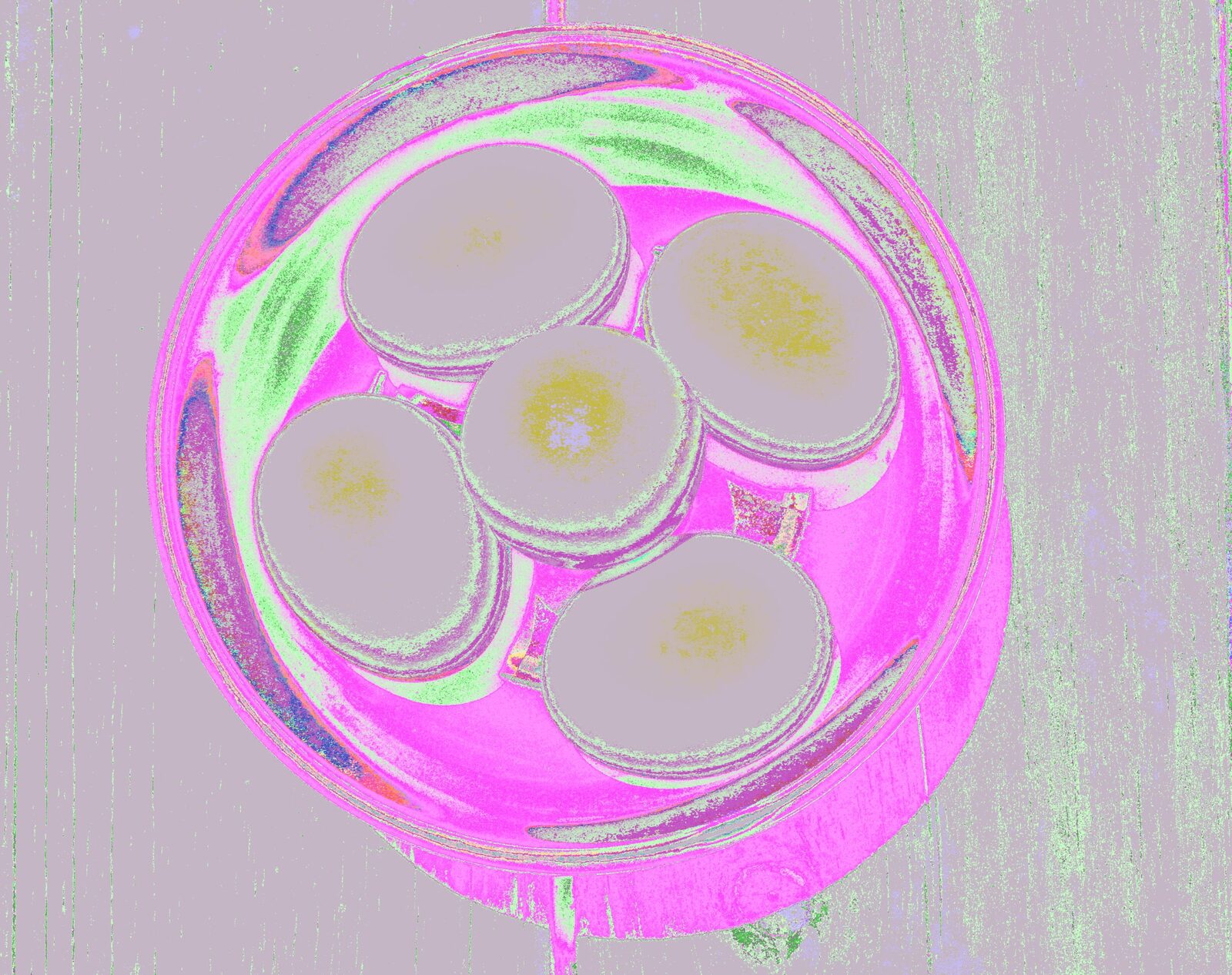White Eggs, Black Bowl — an original still life painting by Debra Karen Werner