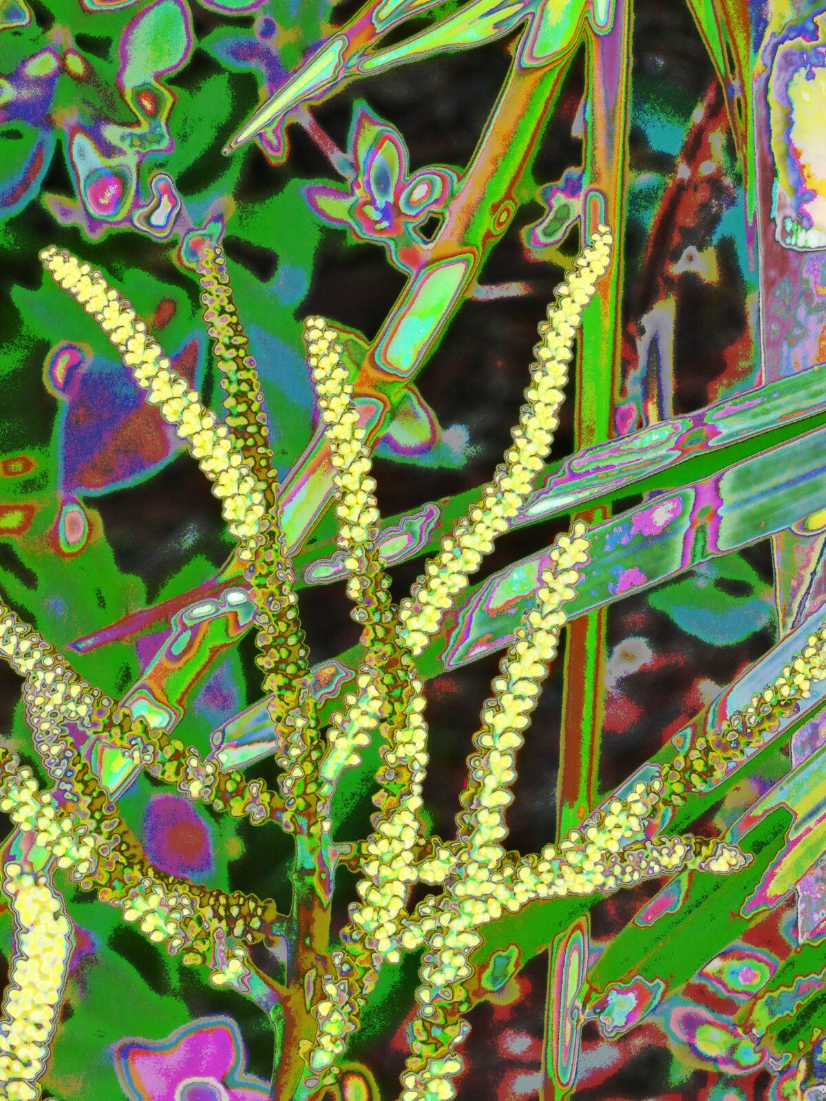 Yellow Things — an original florals painting by Debra Karen Werner